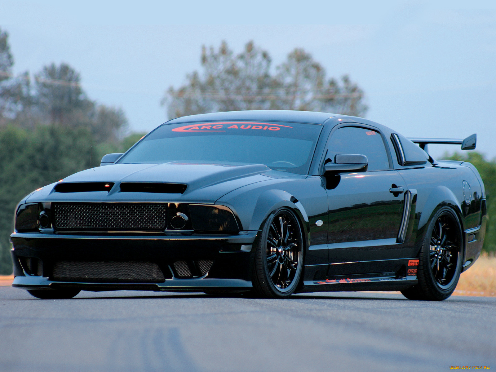 , mustang